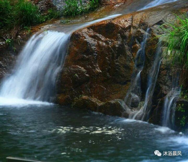 这菜好多人不敢吃,不知常吃延缓衰老、降血脂,胜过化妆品保健品